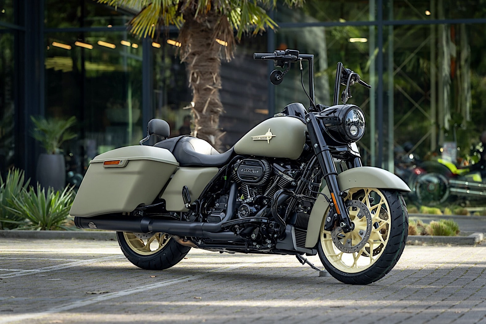 Road King 1200 Cruiser Motorcycle